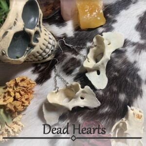 A top down view of a pair of earrings made of coyote atlas bones that sit on a black and white spotted fur background. The silver chain of the earrings loop through small holes on the bottom of the bone, holding it upside down. The earrings are surrounded by dried carnations and roses, a mink skull, a piece of orange citrine, and a faux human skull planter. On the bottom of the image in black text, it reads “Dead Hearts” above a black line and diamond.
